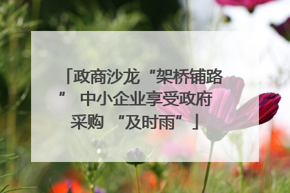 政商沙龙“架桥铺路” 中小企业享受政府采购 “及时雨”