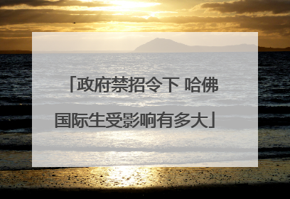 政府禁招令下 哈佛国际生受影响有多大