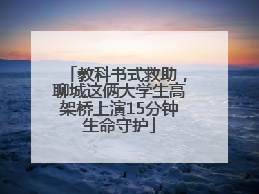 教科书式救助，聊城这俩大学生高架桥上演15分钟生命守护