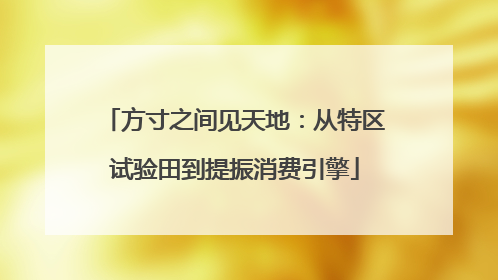方寸之间见天地：从特区试验田到提振消费引擎
