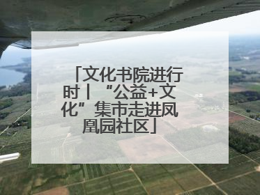 文化书院进行时丨“公益+文化”集市走进凤凰园社区