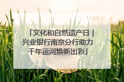 文化和自然遗产日｜兴业银行南京分行助力千年运河焕新出彩