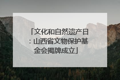 文化和自然遗产日：山西省文物保护基金会揭牌成立