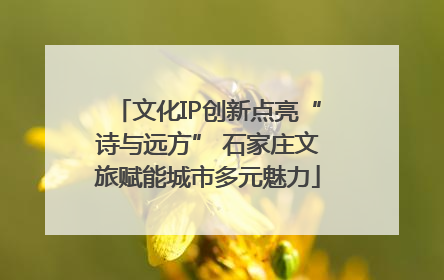 文化IP创新点亮“诗与远方” 石家庄文旅赋能城市多元魅力