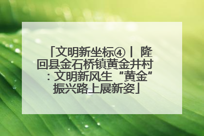 文明新坐标④丨 隆回县金石桥镇黄金井村：文明新风生“黄金” 振兴路上展新姿