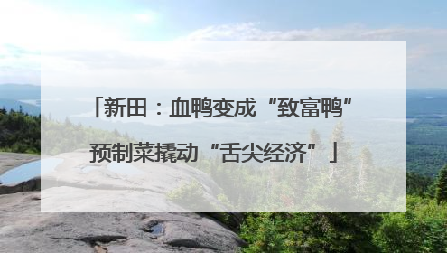 新田：血鸭变成“致富鸭” 预制菜撬动“舌尖经济”