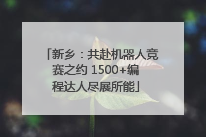 新乡：共赴机器人竞赛之约 1500+编程达人尽展所能
