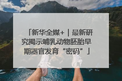 新华全媒+｜最新研究揭示哺乳动物胚胎早期器官发育“密码”