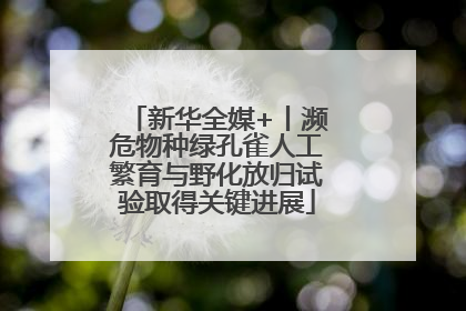 新华全媒+丨濒危物种绿孔雀人工繁育与野化放归试验取得关键进展
