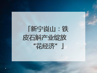 新宁崀山：铁皮石斛产业绽放“花经济”