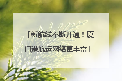新航线不断开通！厦门港航运网络更丰富