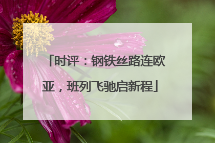 时评：钢铁丝路连欧亚，班列飞驰启新程