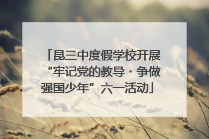 昆三中度假学校开展“牢记党的教导・争做强国少年”六一活动