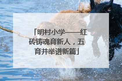 明村小学——红砖铸魂育新人，五育并举谱新篇