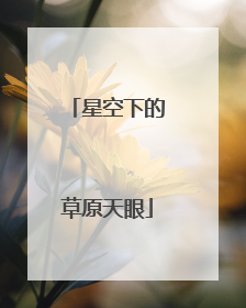 星空下的草原天眼