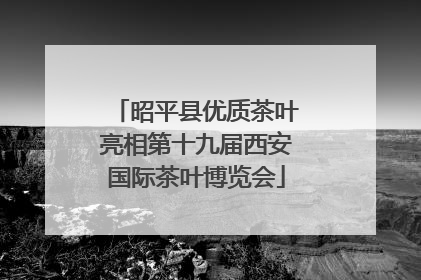 昭平县优质茶叶亮相第十九届西安国际茶叶博览会
