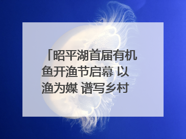 昭平湖首届有机鱼开渔节启幕 以渔为媒 谱写乡村振兴新篇章