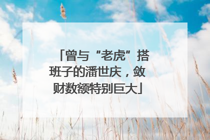 曾与“老虎”搭班子的潘世庆，敛财数额特别巨大