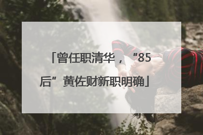 曾任职清华，“85后”黄佐财新职明确