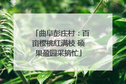 曲阜彭庄村：百亩樱桃红满枝 硕果盈园采摘忙