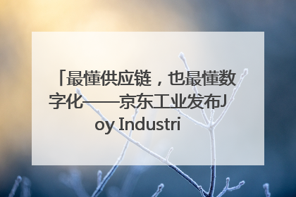 最懂供应链，也最懂数字化——京东工业发布Joy Industrial 重塑工业未来