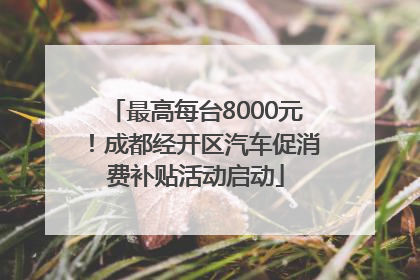 最高每台8000元！成都经开区汽车促消费补贴活动启动