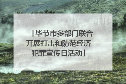 毕节市多部门联合开展打击和防范经济犯罪宣传日活动