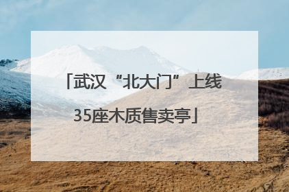 武汉“北大门”上线35座木质售卖亭