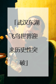 武汉东湖飞鸟世界迎来历史性突破