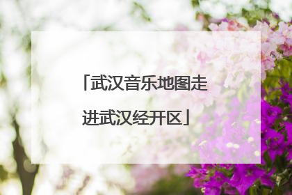 武汉音乐地图走进武汉经开区