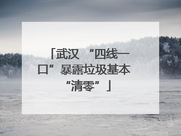 武汉 “四线一口”暴露垃圾基本 “清零”