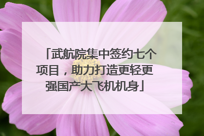 武航院集中签约七个项目，助力打造更轻更强国产大飞机机身
