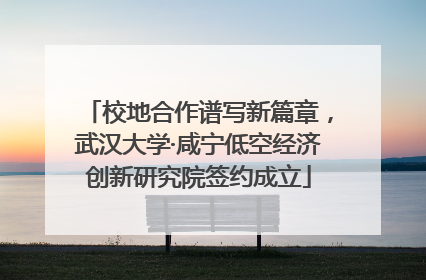 校地合作谱写新篇章，武汉大学·咸宁低空经济创新研究院签约成立