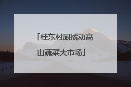 桂东村厨撬动高山蔬菜大市场