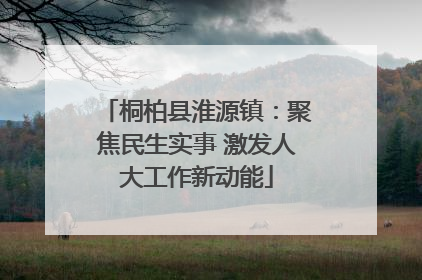 桐柏县淮源镇：聚焦民生实事 激发人大工作新动能