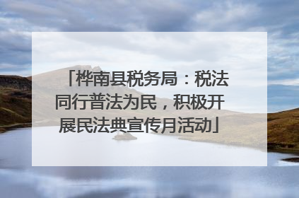 桦南县税务局：税法同行普法为民，积极开展民法典宣传月活动