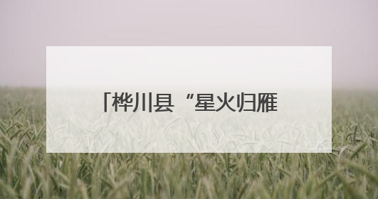 桦川县“星火归雁”绘就振兴图景