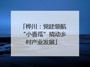 桦川：党建领航“小香瓜”撬动乡村产业发展