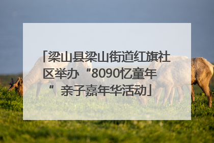 梁山县梁山街道红旗社区举办“8090忆童年”亲子嘉年华活动