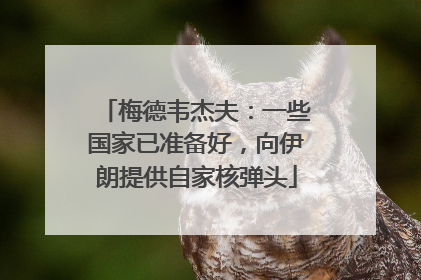 梅德韦杰夫：一些国家已准备好，向伊朗提供自家核弹头