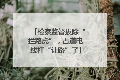 检察监督拔除“拦路虎”，占道电线杆“让路”了