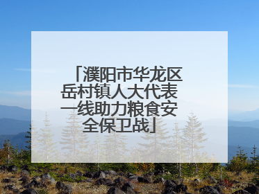 濮阳市华龙区岳村镇人大代表一线助力粮食安全保卫战