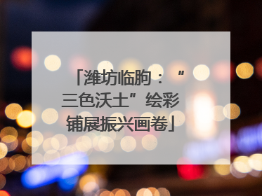 潍坊临朐：“三色沃土”绘彩铺展振兴画卷