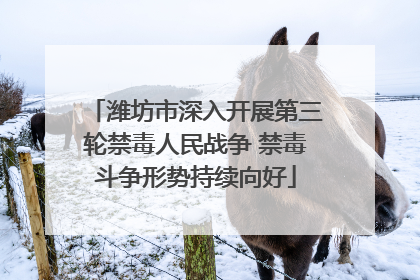 潍坊市深入开展第三轮禁毒人民战争 禁毒斗争形势持续向好
