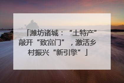 潍坊诸城：“土特产”敲开“致富门”，激活乡村振兴“新引擎”