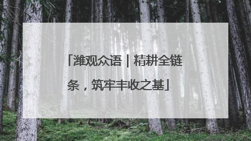 潍观众语｜精耕全链条，筑牢丰收之基