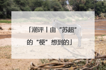 潮评丨由“苏超”的“梗”想到的