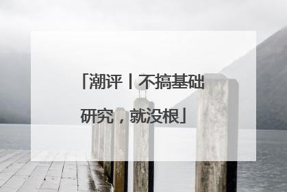 潮评丨不搞基础研究，就没根