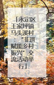 永定区王家坪镇马头溪村：“非遗赋能乡村振兴”交流活动举行