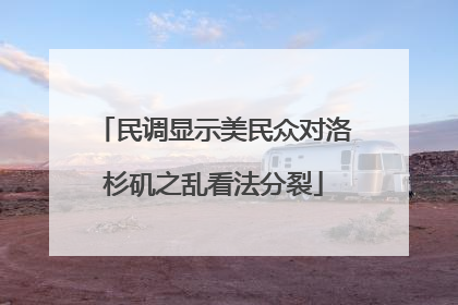 民调显示美民众对洛杉矶之乱看法分裂